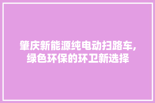 肇庆新能源纯电动扫路车,绿色环保的环卫新选择