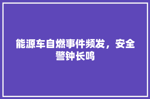 能源车自燃事件频发，安全警钟长鸣
