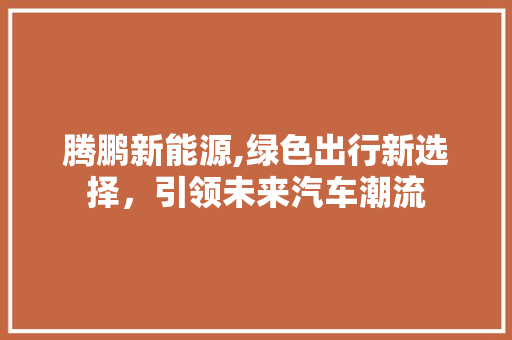 腾鹏新能源,绿色出行新选择，引领未来汽车潮流