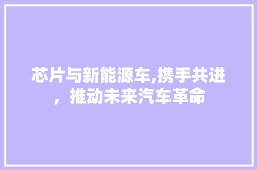 芯片与新能源车,携手共进，推动未来汽车革命 变速箱配件