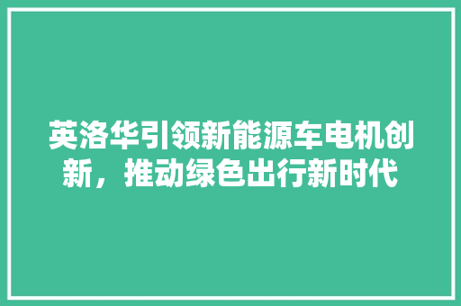 英洛华引领新能源车电机创新，推动绿色出行新时代 车灯配件