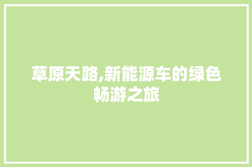 草原天路,新能源车的绿色畅游之旅