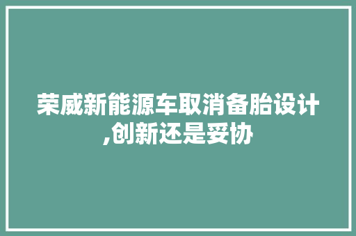 荣威新能源车取消备胎设计,创新还是妥协