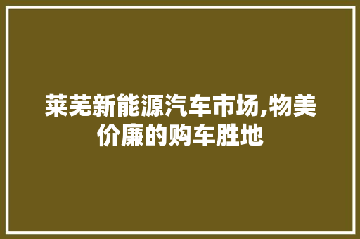 莱芜新能源汽车市场,物美价廉的购车胜地