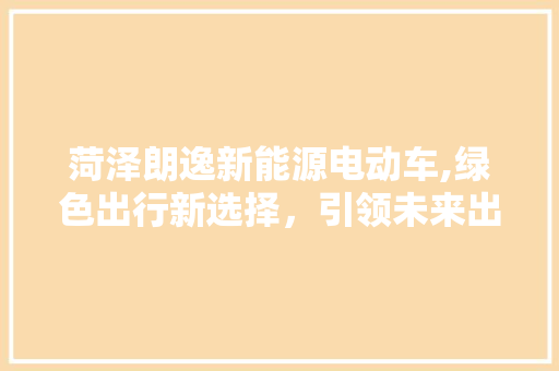 菏泽朗逸新能源电动车,绿色出行新选择，引领未来出行潮流