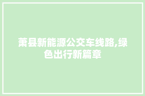 萧县新能源公交车线路,绿色出行新篇章