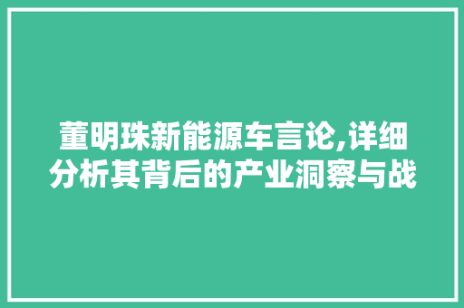 董明珠新能源车言论,详细分析其背后的产业洞察与战略布局