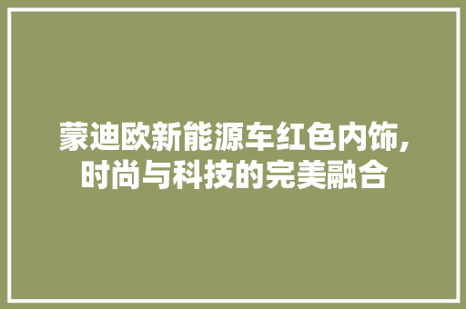 蒙迪欧新能源车红色内饰,时尚与科技的完美融合