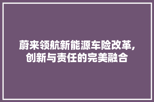 蔚来领航新能源车险改革,创新与责任的完美融合