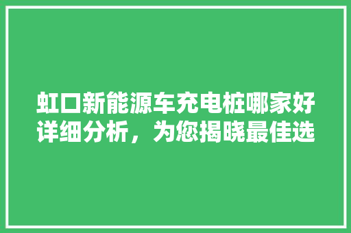 虹口新能源车充电桩哪家好详细分析，为您揭晓最佳选择！
