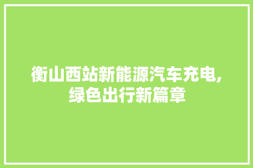 衡山西站新能源汽车充电,绿色出行新篇章