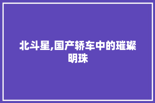 北斗星,国产轿车中的璀璨明珠