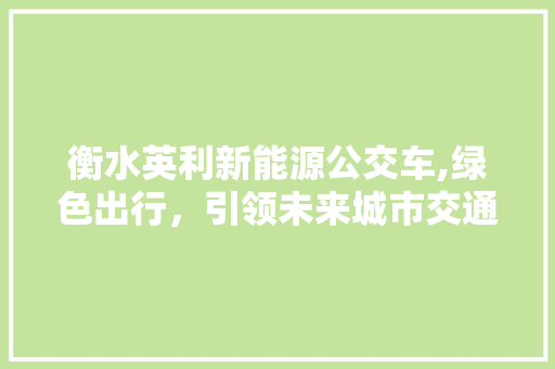 衡水英利新能源公交车,绿色出行，引领未来城市交通潮流