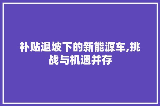 补贴退坡下的新能源车,挑战与机遇并存