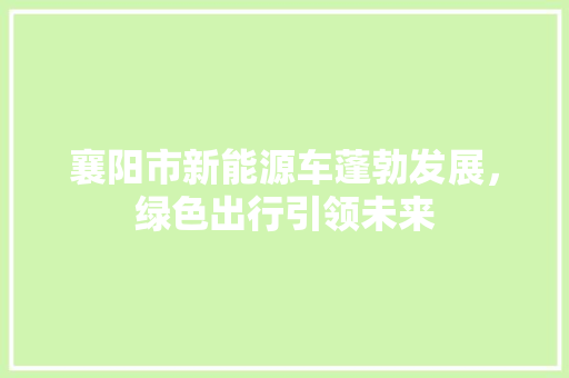 襄阳市新能源车蓬勃发展，绿色出行引领未来