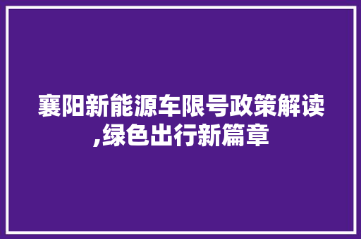 襄阳新能源车限号政策解读,绿色出行新篇章