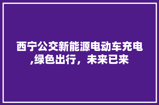 西宁公交新能源电动车充电,绿色出行，未来已来