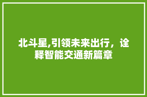 北斗星,引领未来出行，诠释智能交通新篇章