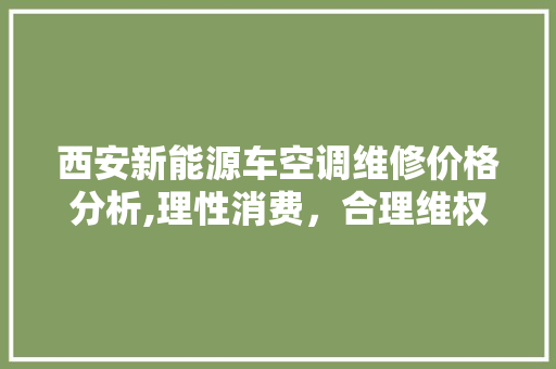 西安新能源车空调维修价格分析,理性消费，合理维权