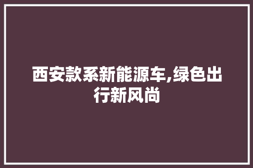西安款系新能源车,绿色出行新风尚