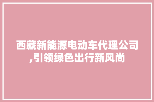 西藏新能源电动车代理公司,引领绿色出行新风尚