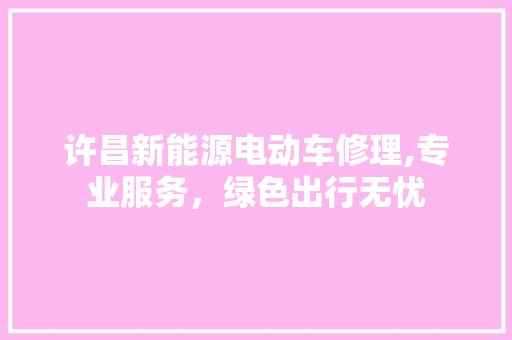 许昌新能源电动车修理,专业服务，绿色出行无忧