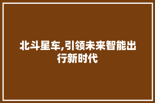 北斗星车,引领未来智能出行新时代