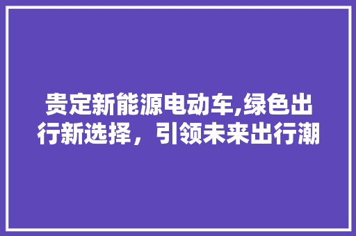 贵定新能源电动车,绿色出行新选择，引领未来出行潮流