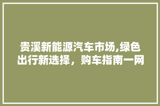 贵溪新能源汽车市场,绿色出行新选择，购车指南一网打尽