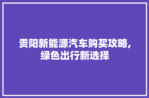 贵阳新能源汽车购买攻略,绿色出行新选择