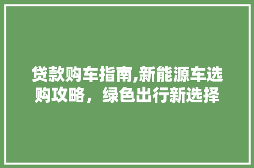 贷款购车指南,新能源车选购攻略，绿色出行新选择