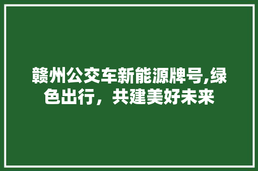 赣州公交车新能源牌号,绿色出行，共建美好未来