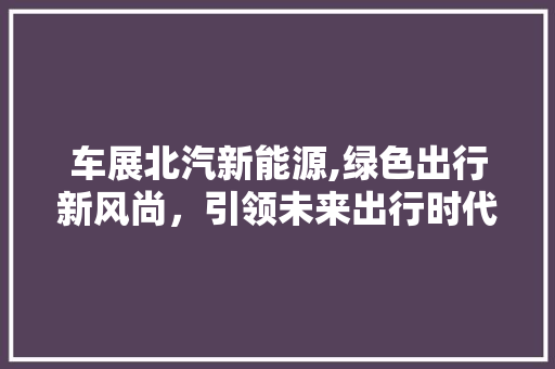 车展北汽新能源,绿色出行新风尚，引领未来出行时代