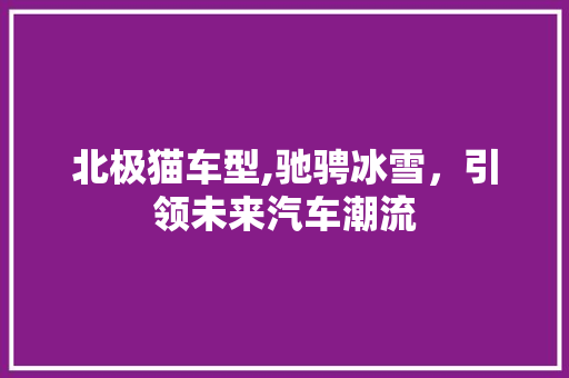 北极猫车型,驰骋冰雪，引领未来汽车潮流