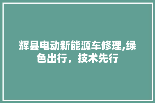 辉县电动新能源车修理,绿色出行，技术先行