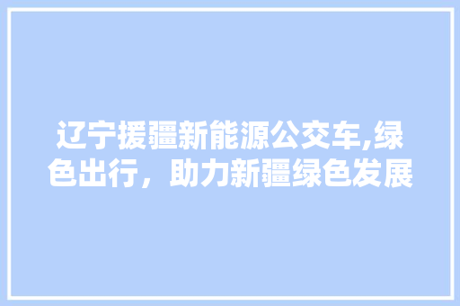 辽宁援疆新能源公交车,绿色出行，助力新疆绿色发展新篇章
