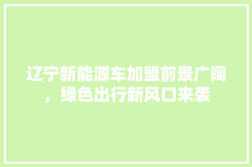 辽宁新能源车加盟前景广阔，绿色出行新风口来袭