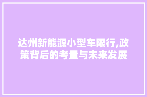 达州新能源小型车限行,政策背后的考量与未来发展