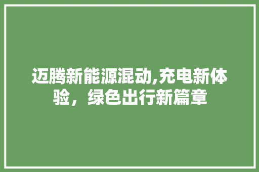 迈腾新能源混动,充电新体验，绿色出行新篇章
