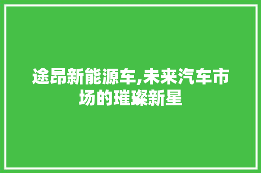 途昂新能源车,未来汽车市场的璀璨新星