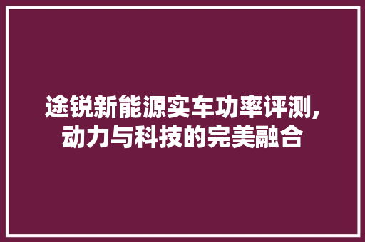 途锐新能源实车功率评测,动力与科技的完美融合