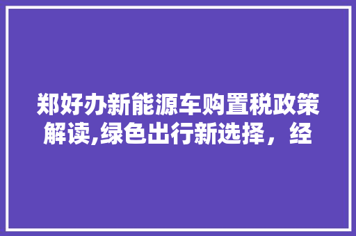 郑好办新能源车购置税政策解读,绿色出行新选择，经济实惠两相宜