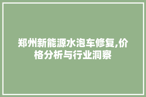 郑州新能源水泡车修复,价格分析与行业洞察