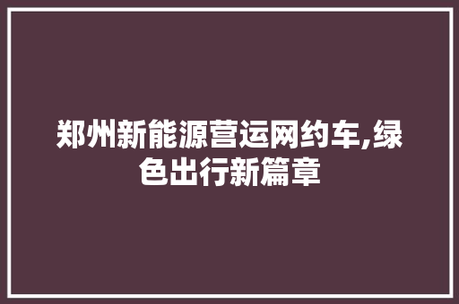 郑州新能源营运网约车,绿色出行新篇章 新款车型
