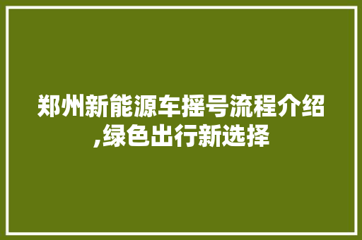 郑州新能源车摇号流程介绍,绿色出行新选择