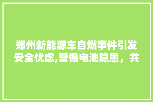 郑州新能源车自燃事件引发安全忧虑,警惕电池隐患，共建绿色出行新篇章