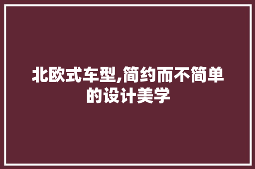 北欧式车型,简约而不简单的设计美学