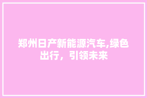 郑州日产新能源汽车,绿色出行，引领未来