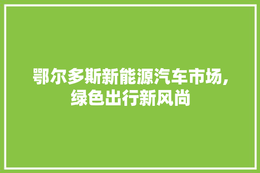 鄂尔多斯新能源汽车市场,绿色出行新风尚