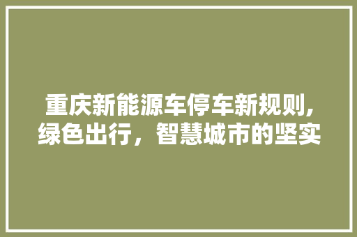 重庆新能源车停车新规则,绿色出行，智慧城市的坚实脚步